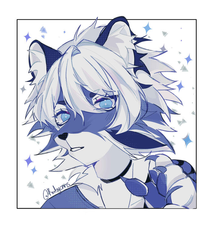 cms ex cms ex